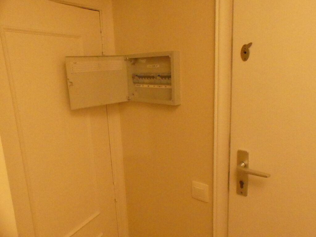 P1010041