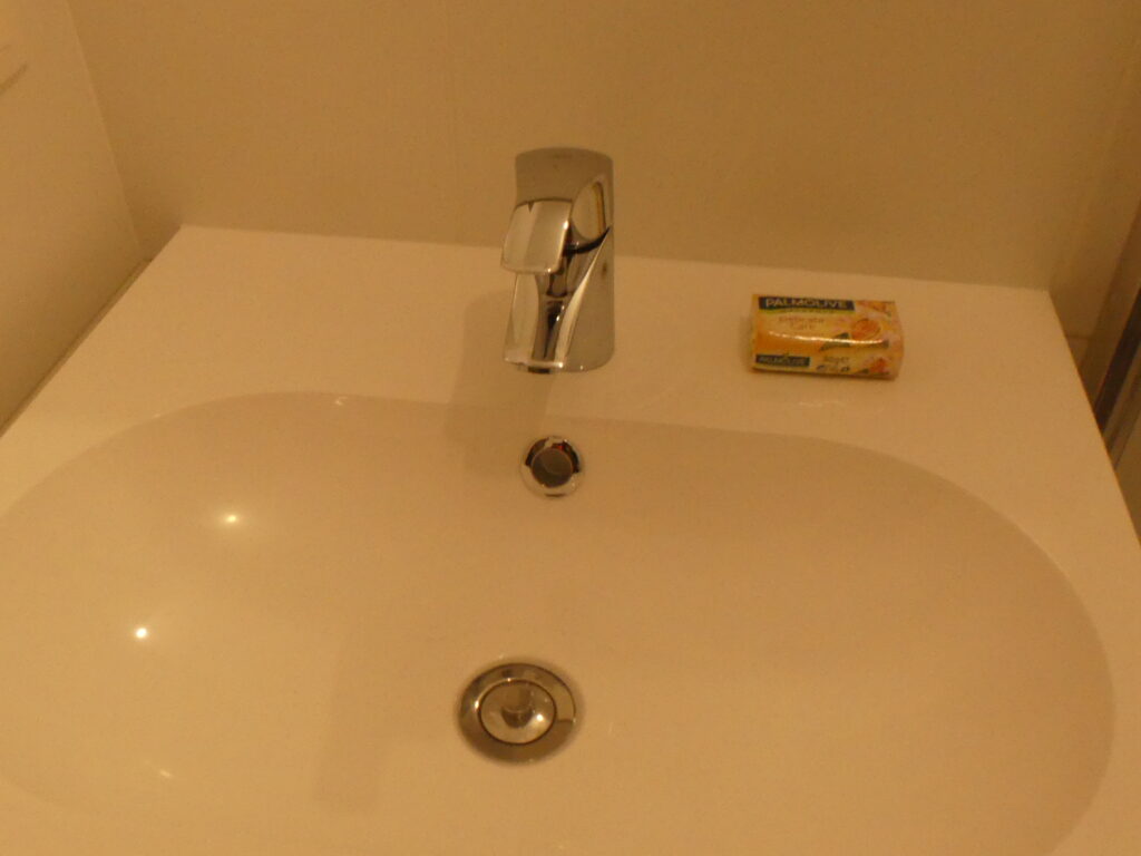 P1010053