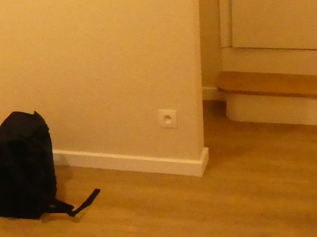 P1010060