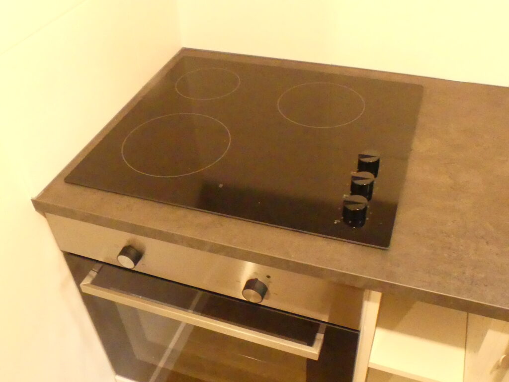 P1010065