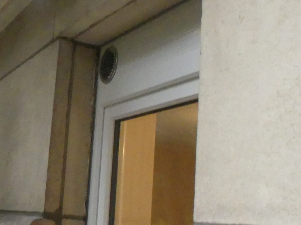 P1010066